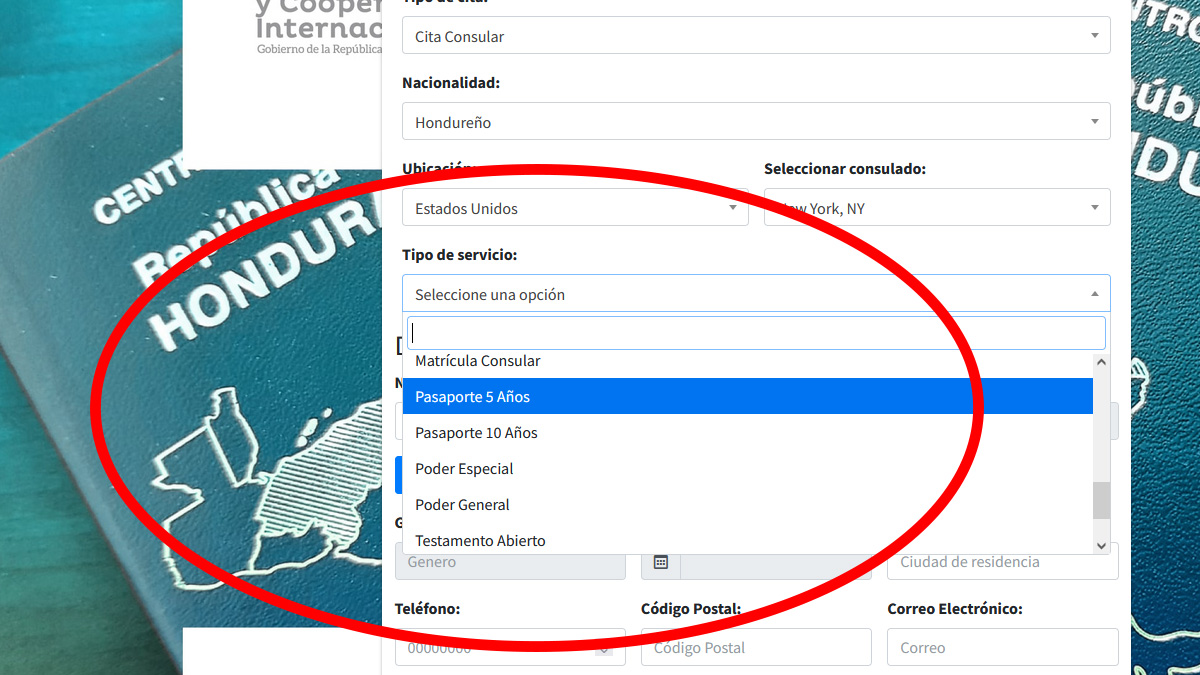 5b.- Steps to make a Consular Appointment Honduras USA, Spain and Mexico