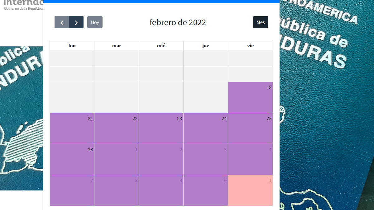 8.- Pasos para realizar una Cita Consular Honduras EEUU, España y México