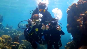 Actividades de Buceo en Honduras