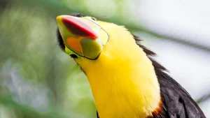 Actividades de Naturaleza en Honduras