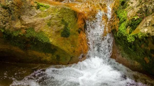 Áreas Protegidas y Parques de Honduras