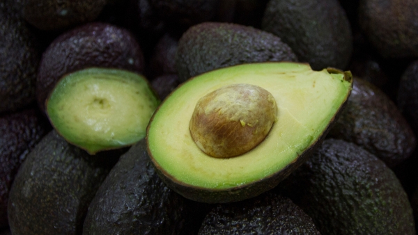 EEUU reabre la puerta a los aguacates de México