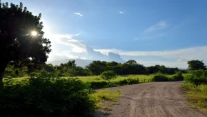 Lista de los Valles de Honduras y su producción