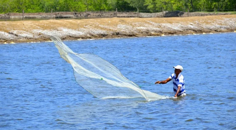 Conoce el Salario Mínimo en Honduras para 2020