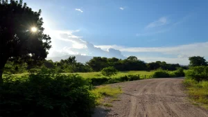 Valles de Honduras y su producción